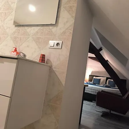 D'hote Pres De Pairi Daiza Mons Engyh House 1 Δωμάτια σε οικογενειακή κατοικία Lens